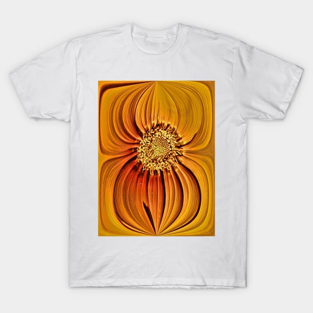 Orange Gazania Design T-Shirt by avrilharris